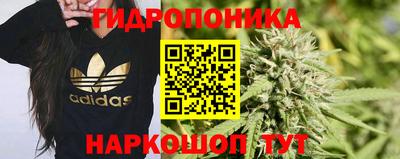 сатива Кулебаки
