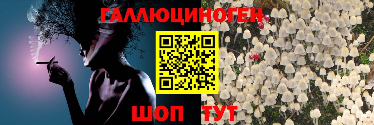 купить закладку  Псилоцибиновые грибы Cubensis  Вход с VPN  Ирбит 